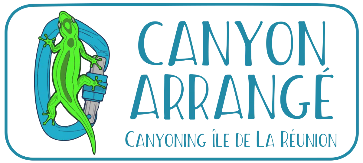 Canyon Arrangé